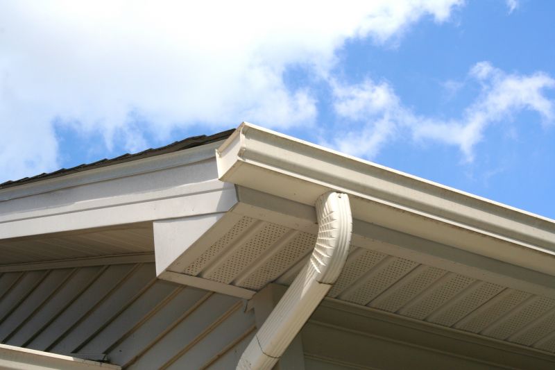 Gutter installation on a residential roof